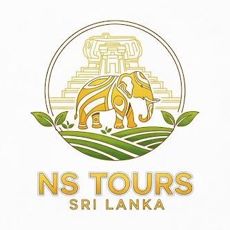 NS Tours Logo
